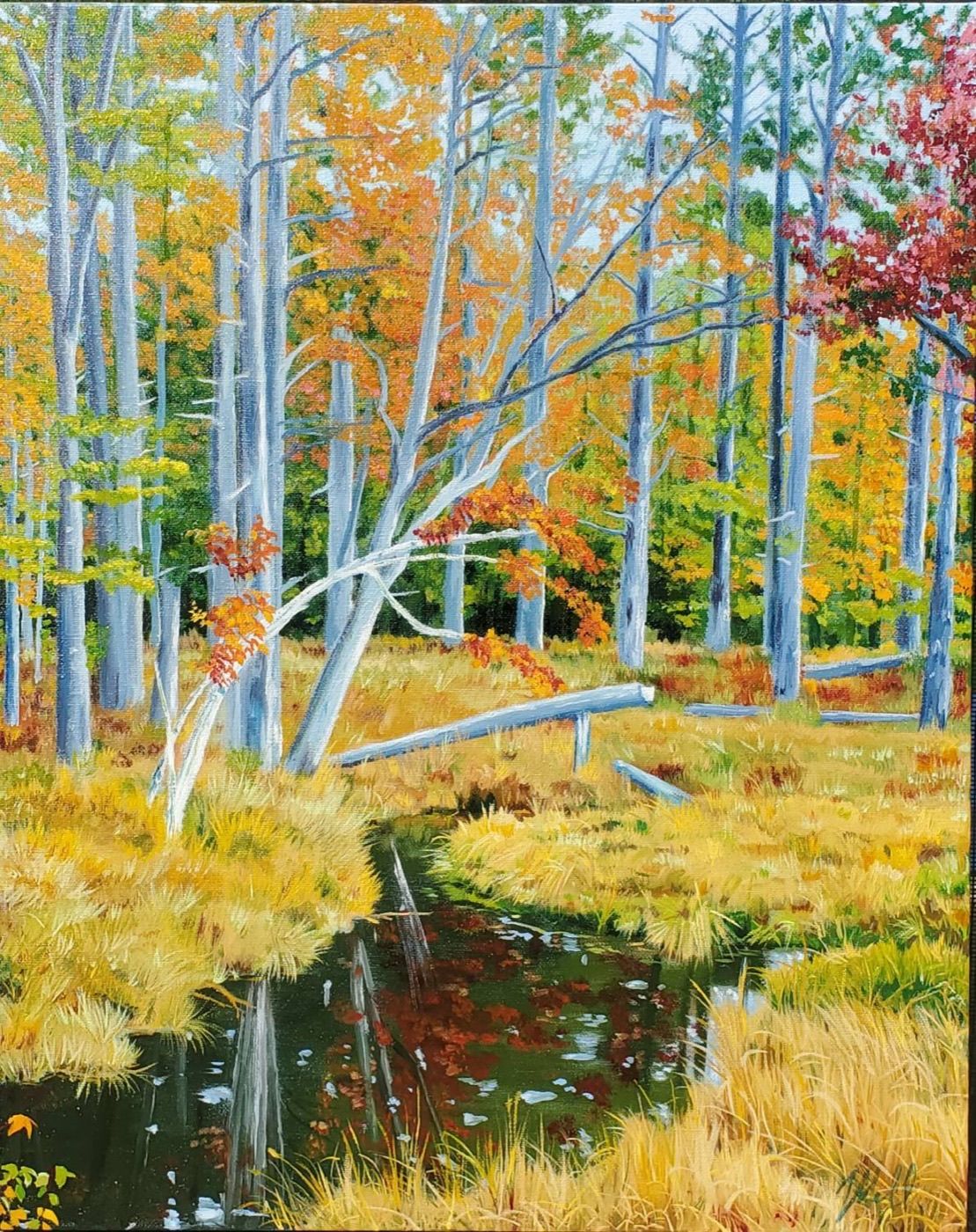 Pale birches leaning over a dark stream through a golden autumn marsh