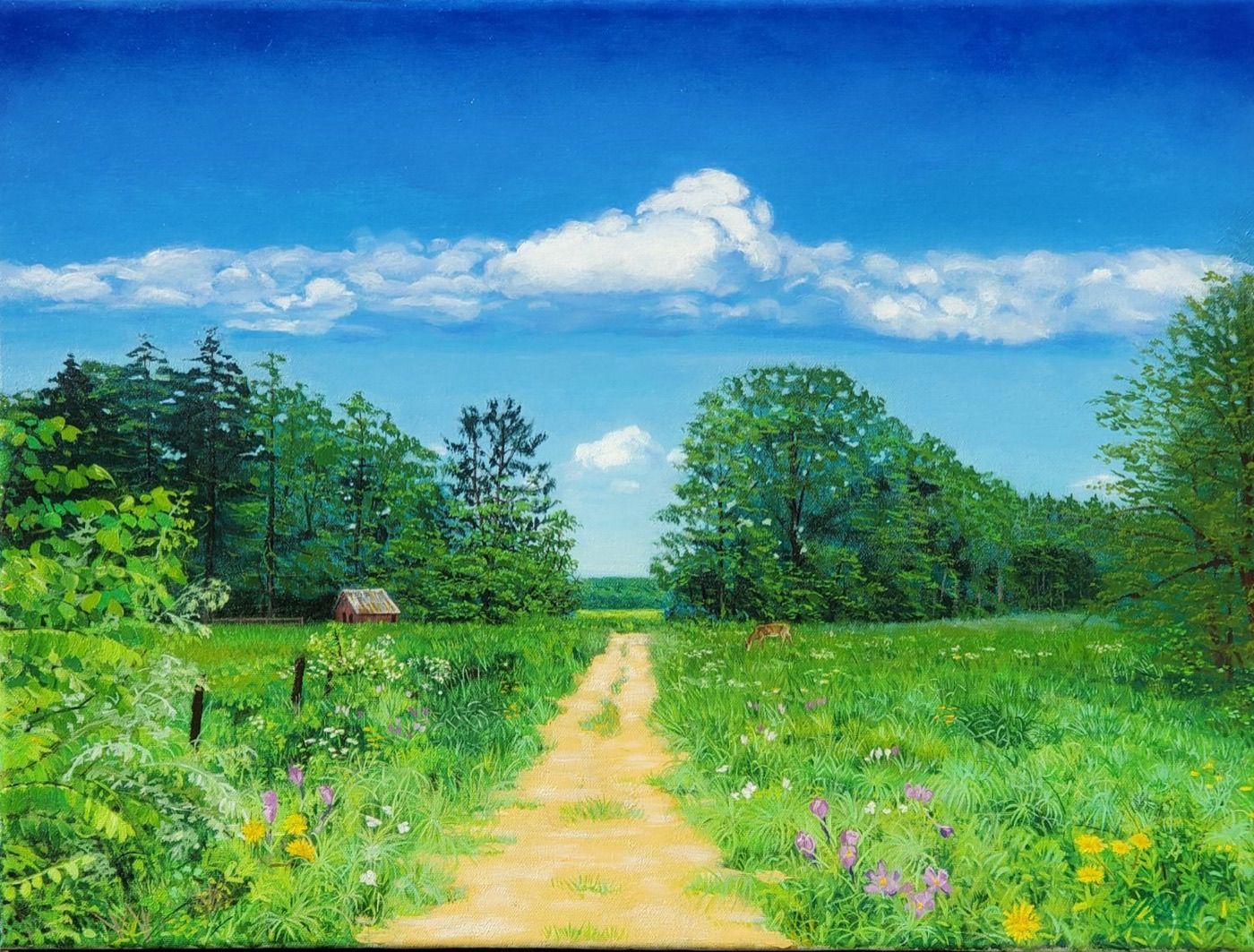 A sand path running through a wildflower meadow under a big June sky