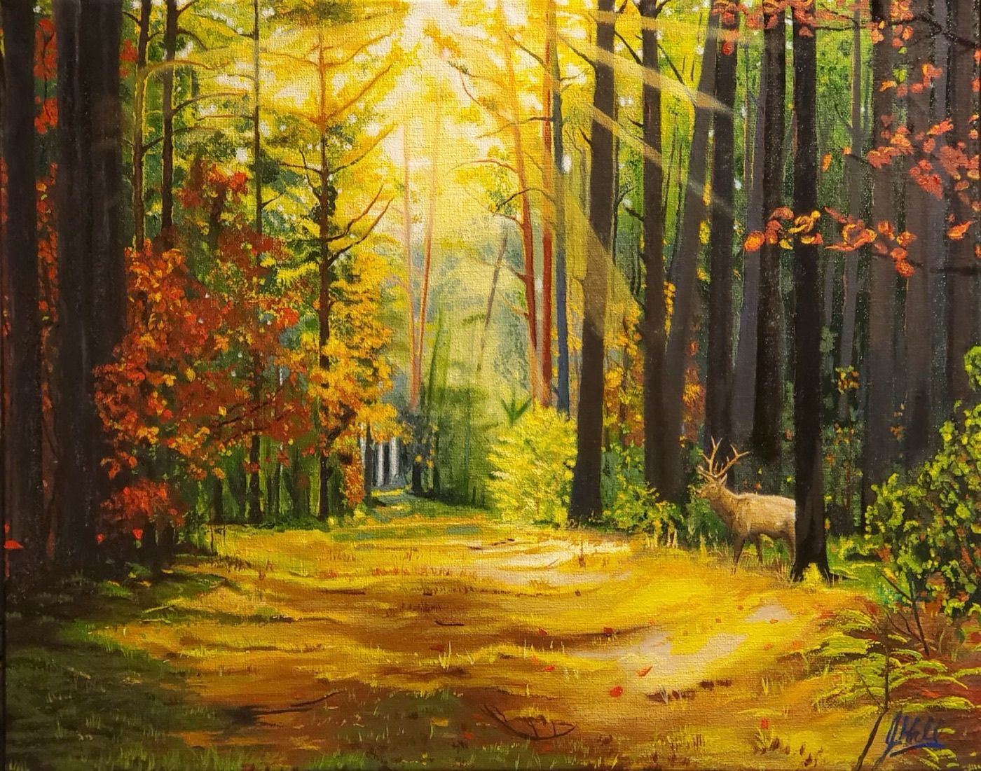 Sunlight floods a golden autumn forest road as an elk pauses at the treeline